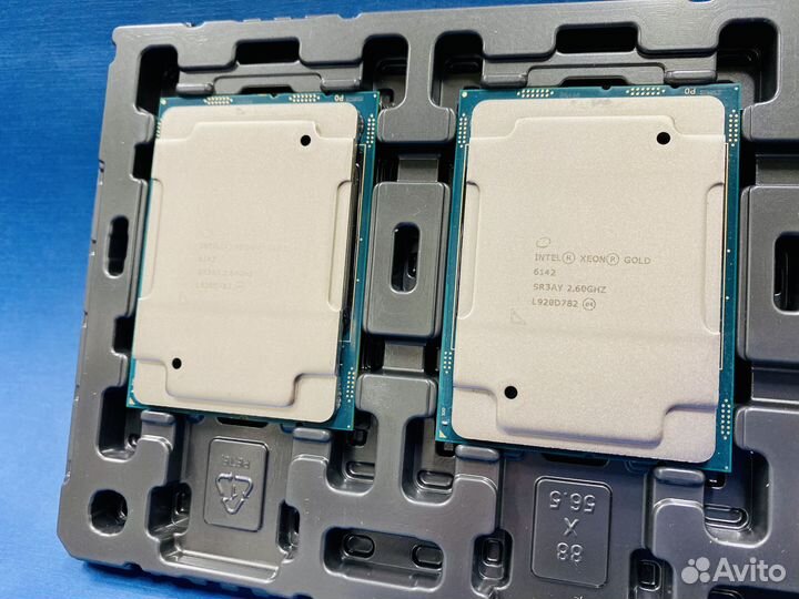 Xeon Gold 6142 16 ядер SR3AY