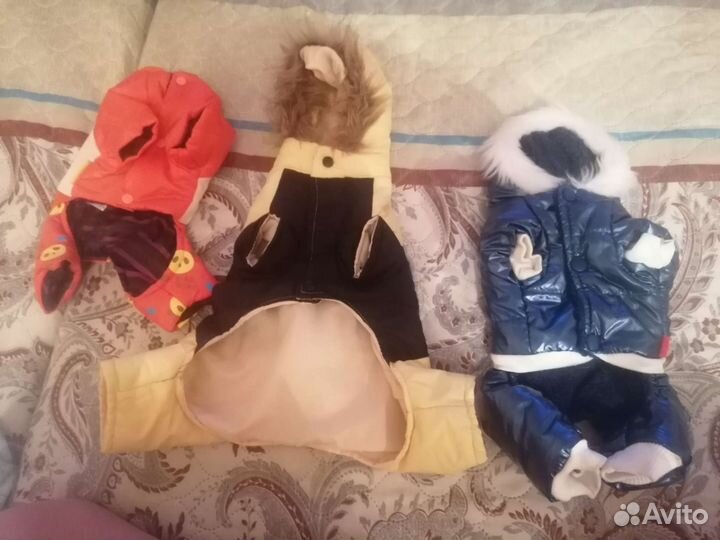 Вещи для маленьких собак