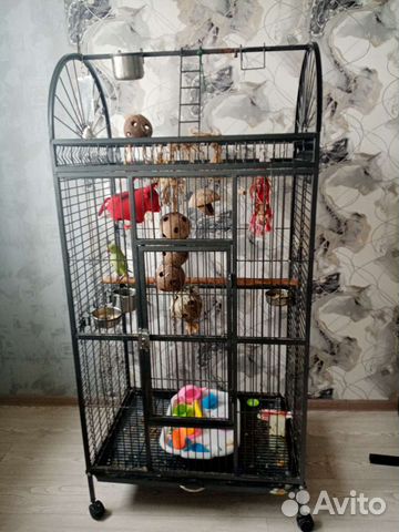 Клетка для крупного попугая