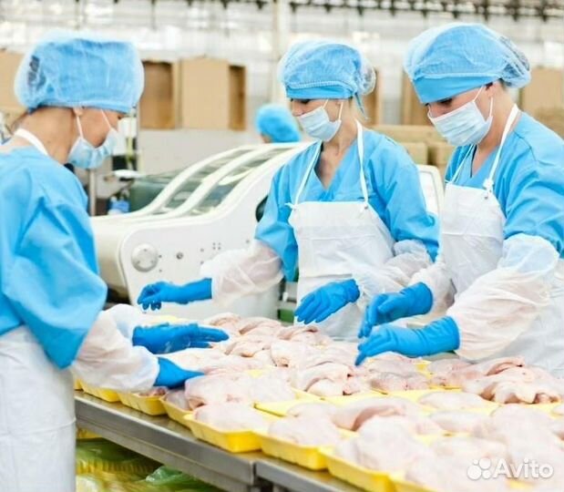 Упаковщики в Глазов (без опыта, с жильем)