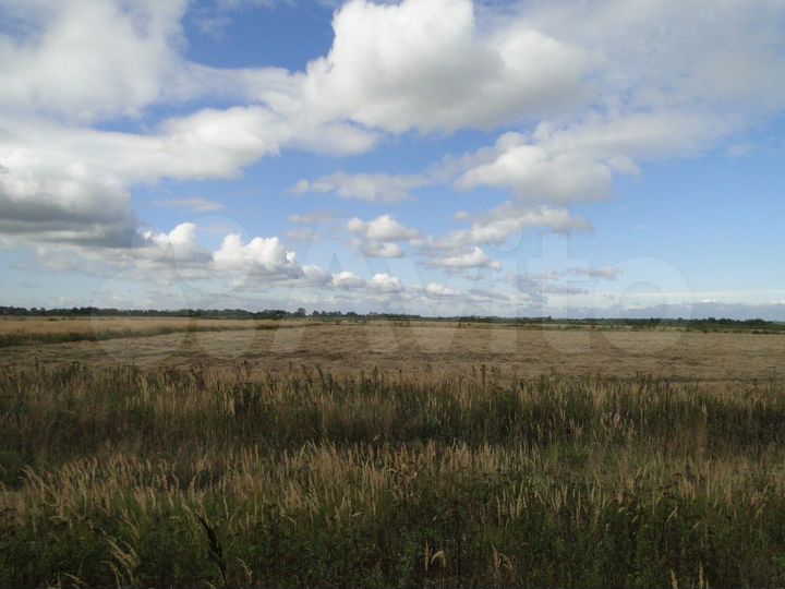 Участок 319,61 га (СНТ, ДНП)