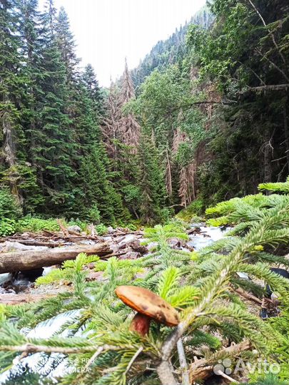 Индивидуальные экскурсии