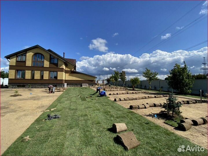 Рулонный газон