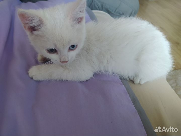 В самые добрые ручки