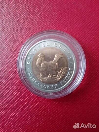 Кавказский тетерев