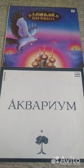 Виниловые пластинки