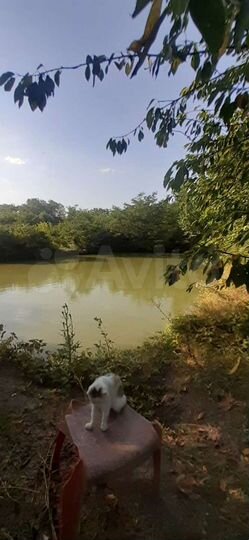 Дом 108 м² на участке 20 сот.