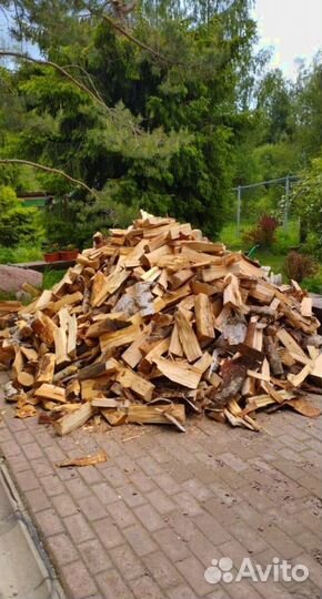 Дрова колотые Береза