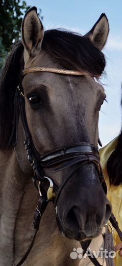 Уздечка (оголовье) euroriding, меховушка под седло