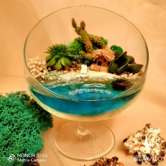 Флорариумы