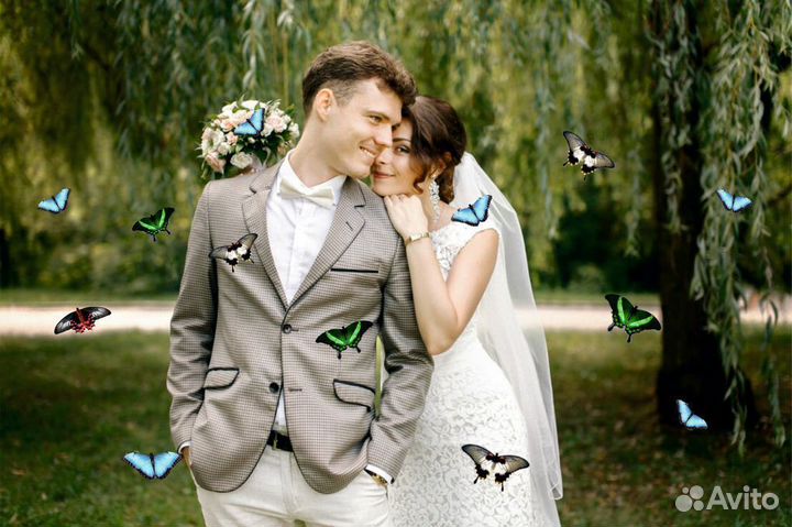 Салют из 20 Живых Тропических Бабочек с/б-29