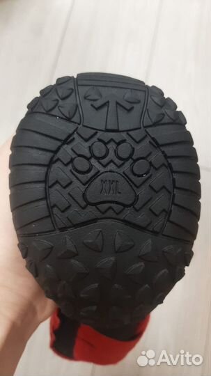 Ботинки для собак