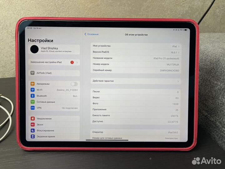 iPad Pro 11 256gb Wi-Fi + Cellular