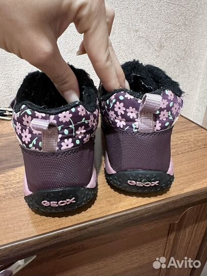 Зимние ботинки Geox