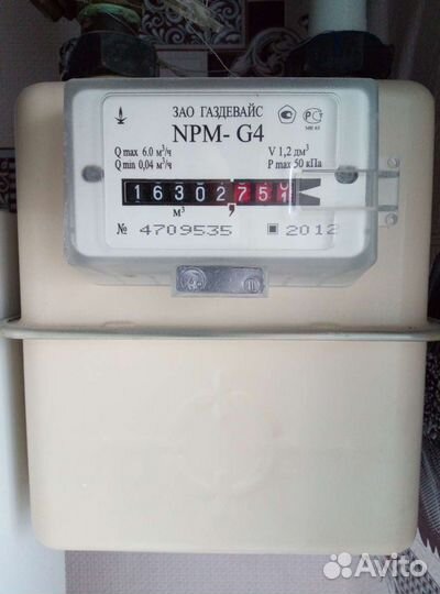 Газовый счётчик NPM-G4