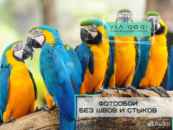 Фотообои на заказ