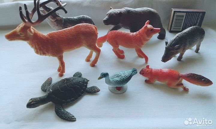 Животные из одной коллекции