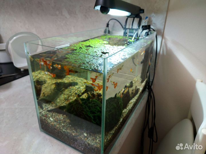 Аквариумное оборудование