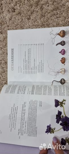 Ботаническая иллюстрация Энн Свон+творческие книги