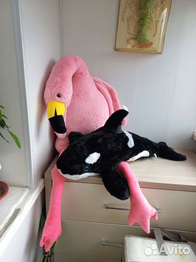 Черноморская касатка