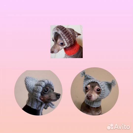 Вязанные шапочки для собак