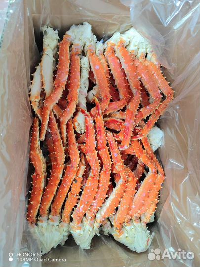 Клешни камчатского краба