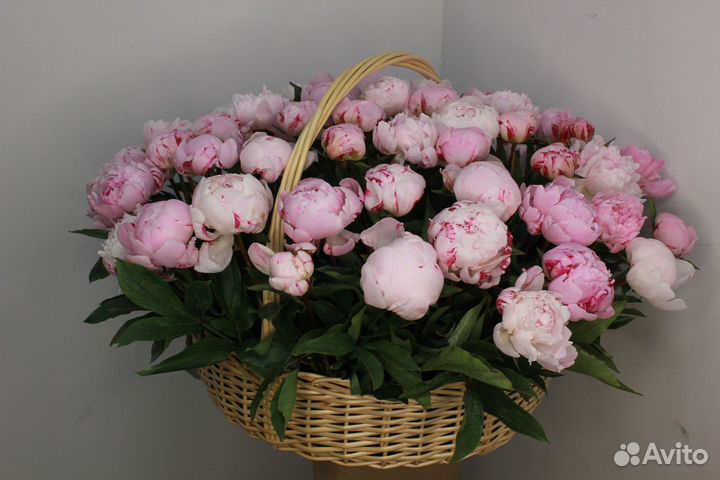 Альстромерия букет