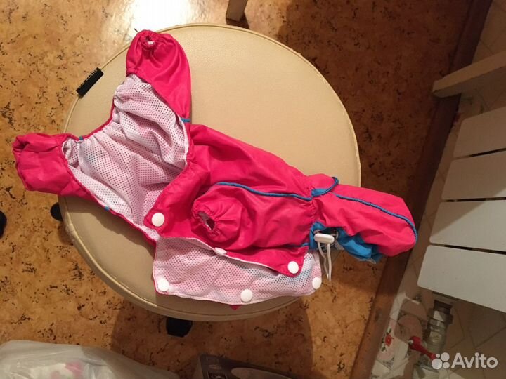 Одежда для собак