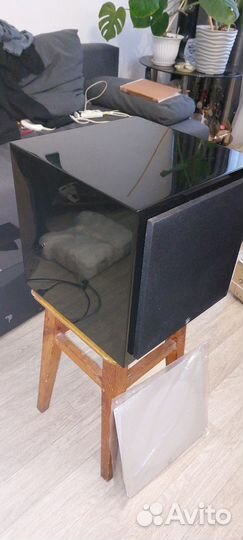 Сабвуфер DLS Q-sub10 piano black