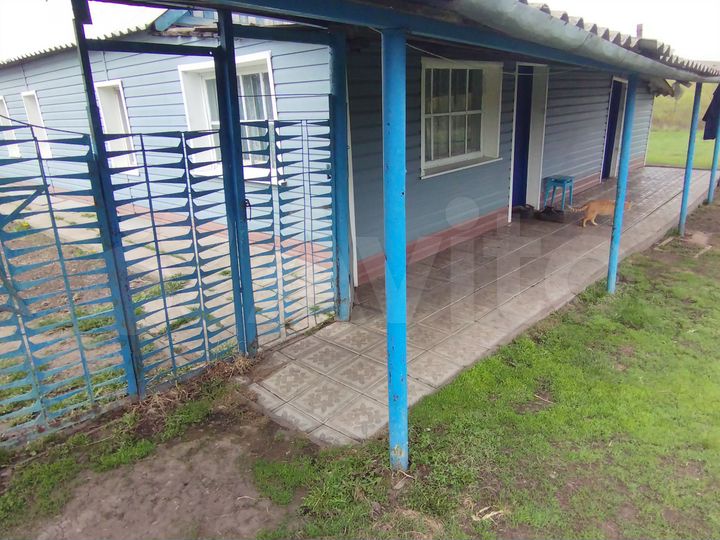 Дом 55 м² на участке 40 сот.