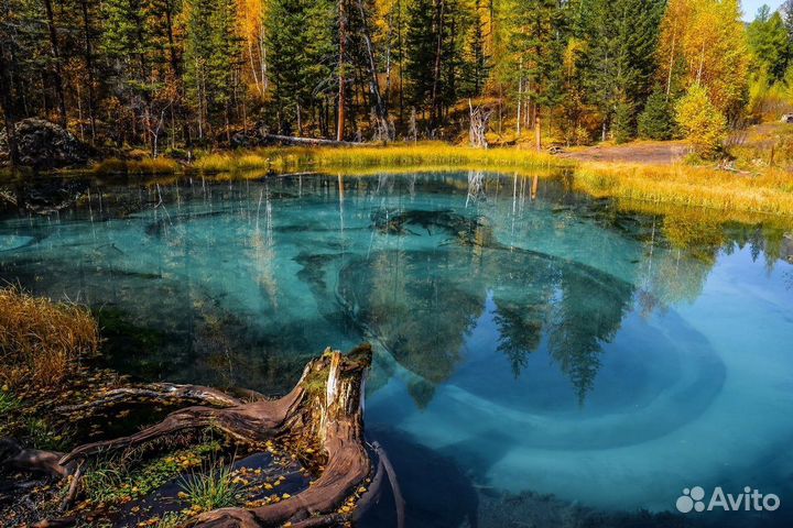 Осенний Комботур «Чемал+Марс1,2+Чуйский Тракт»