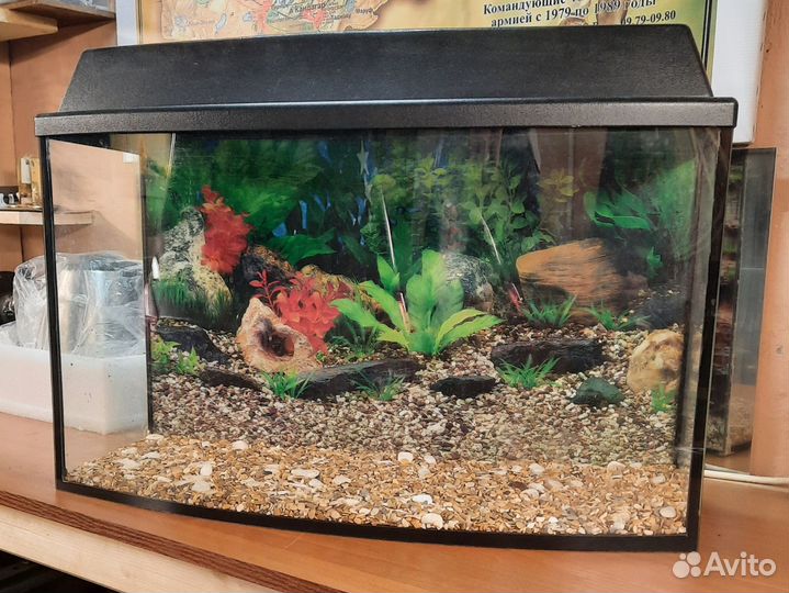 Аквариум