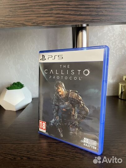 The callisto protocol ps5