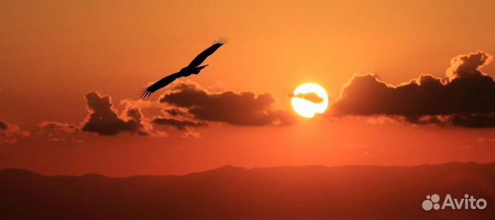 Ритуальные услуги Вознесение бальзамирование