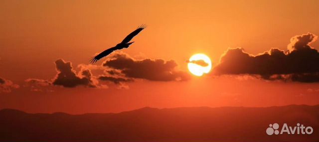 Ритуальные услуги Вознесение бальзамирование