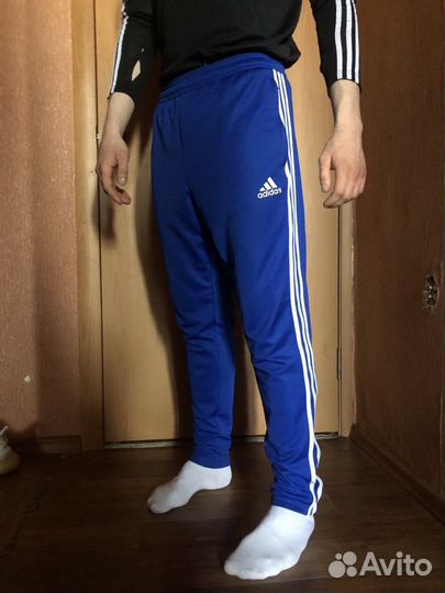 Штаны спортивные adidas russia