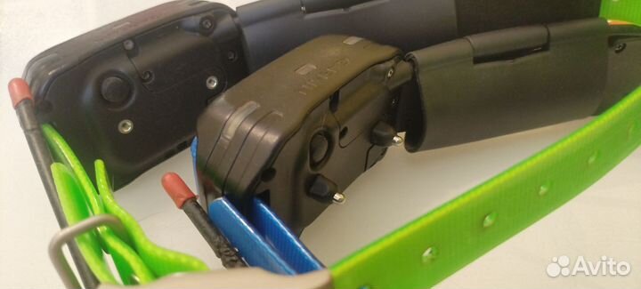 Ошейники Garmin tt15 mini Россия/Евро/Америка