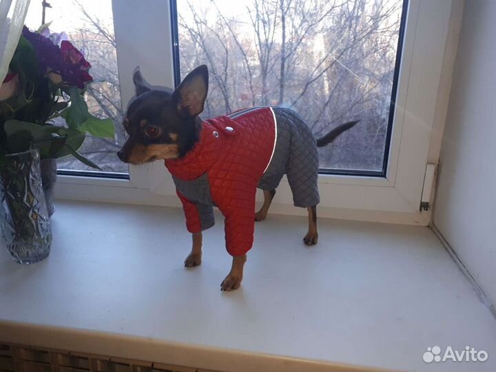 Комбинезон зимний