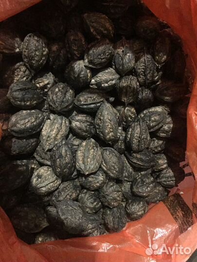 Манжурский орех этого года