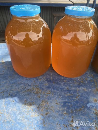 Мед цветочный свежий 2023г