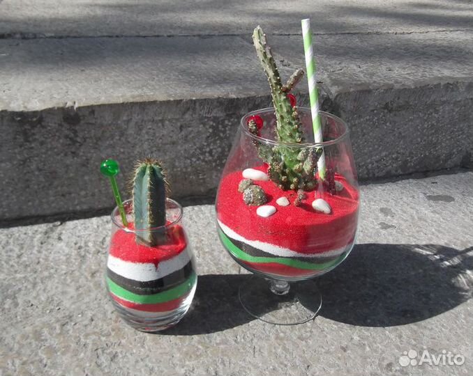 Флорариумы на заказ