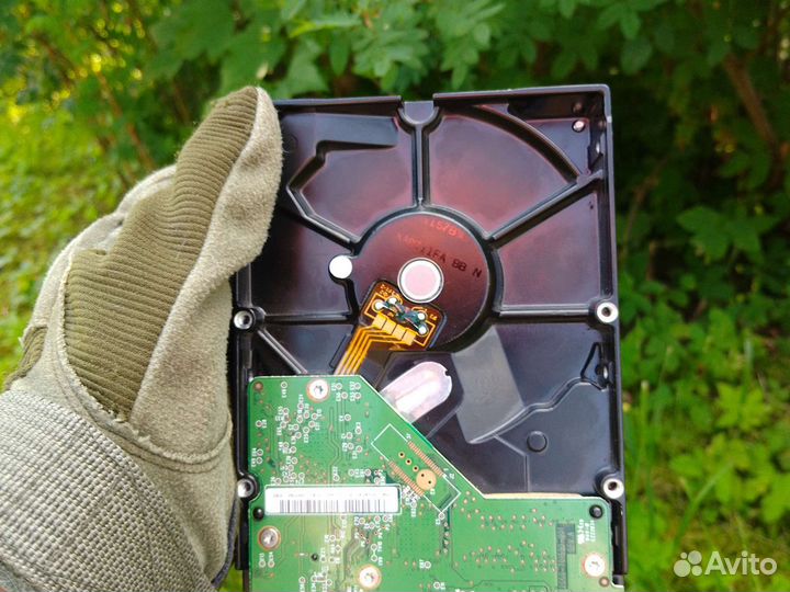 Жесткий диск для пк на 250гб