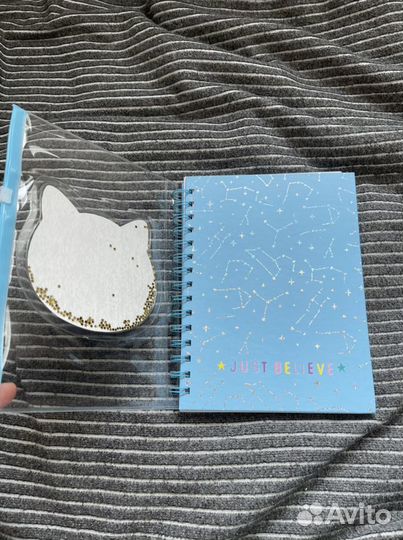 Тетрадь на пружине с котиком