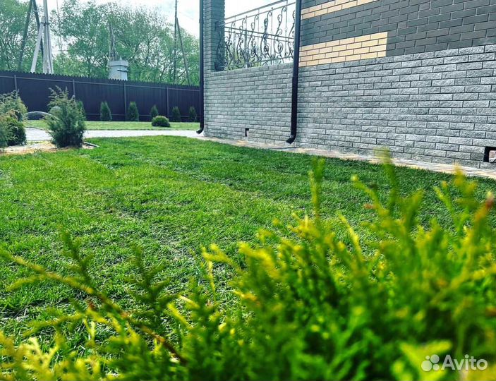 Рулонный газон