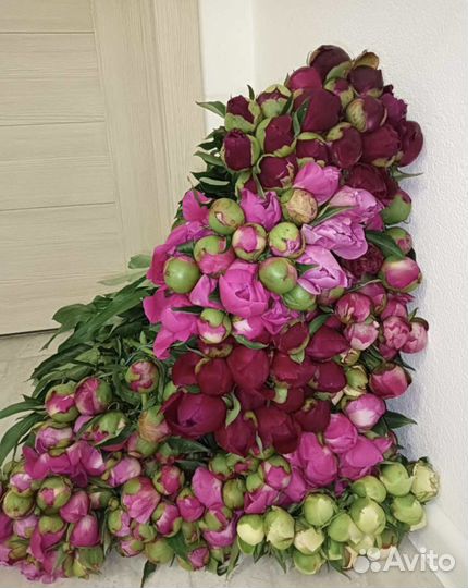 Пионы на срезку, гвоздика, гортензия, ромашка