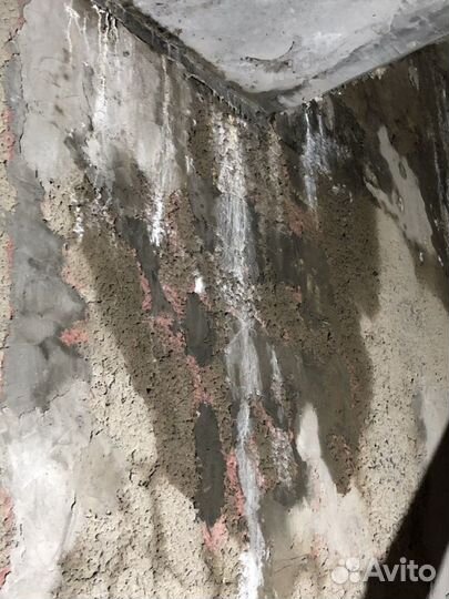 Строительно-техническая экспертиза