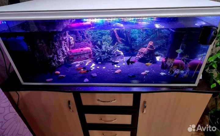 Аквариум