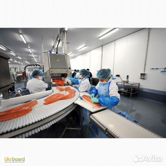 Обработчицы без опыта/Москва/Вахта/Проживание