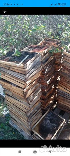 Рамки с сушью