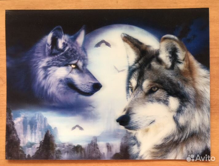 Стереокартина